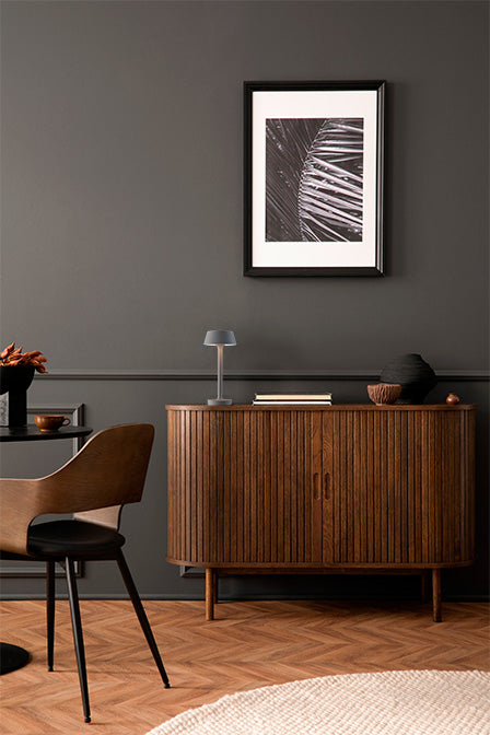 Antidark Companion T1